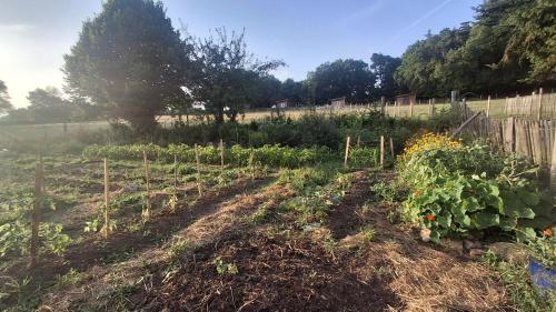 a garden with some plants in a field at La ferme de beau soleil Gîte et cabanes in Saint-Gilles-du-Mené