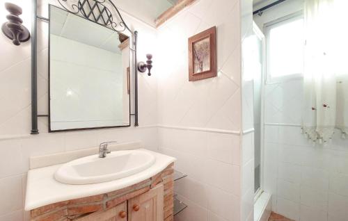 a bathroom with a sink and a mirror and a shower at Awesome Home In Bétera in Bétera