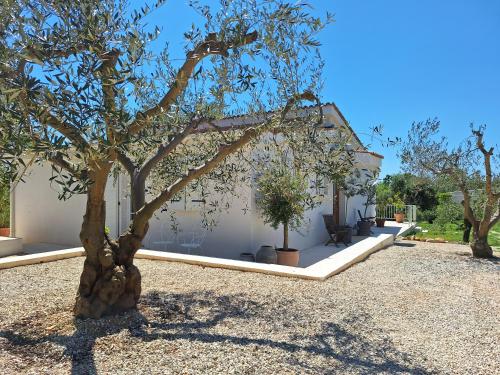 Gallery image of Villa Elizej in Fažana