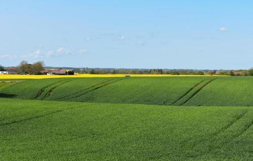 a field of green grass with a blue sky at Pet Friendly Home In Löderup With Wifi in Löderup