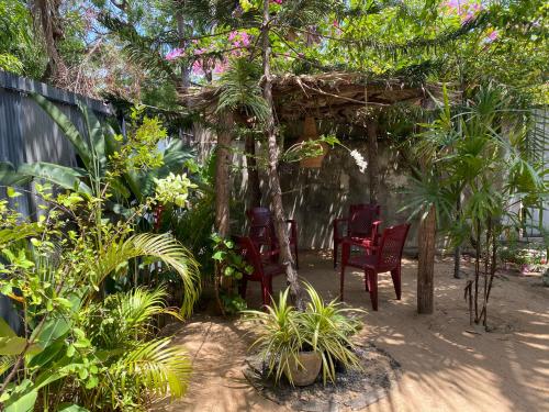 a group of chairs under a pergola in a garden at Coastal villa in Batticaloa