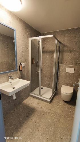 a bathroom with a shower and a sink and a toilet at Chmelnice na stezce in Napajedla