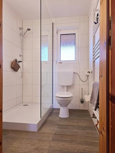 a bathroom with a toilet and a glass shower at Pension & Restaurant "Alte Schule" in Kluis