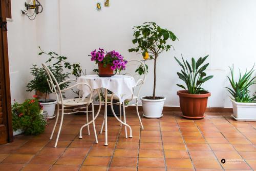 a table and chairs with potted plants in a room at TAM Vacanze B&B in Cinisi