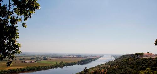 Foto dalla galleria di Ribatejo Villa a Benfica