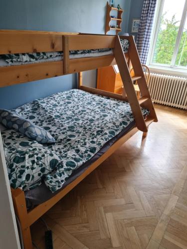 a bedroom with two bunk beds and a wooden floor at Gute Vingård in Havdhem