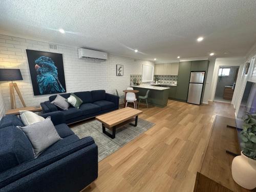 a living room with a blue couch and a kitchen at Central Cullen Wagga Apartments in Wagga Wagga