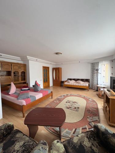 a living room with two beds and a couch at Casa Dany in Vatra Dornei