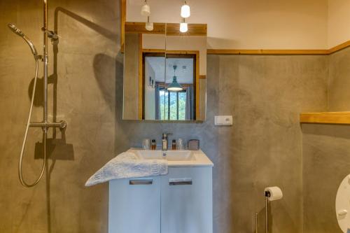 a bathroom with a sink and a shower at Chambre d'hôte Gite Passoud in Oz