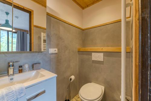 a bathroom with a toilet and a sink and a mirror at Chambre d'hôte Gite Passoud in Oz