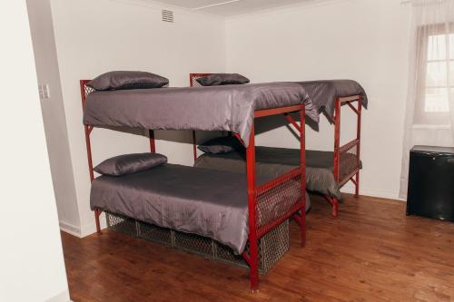 Palanda nebo palandy na pokoji v ubytování Wilderness Backpackers