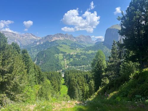 Gallery image of Hotel Piz Seteur in Selva di Val Gardena