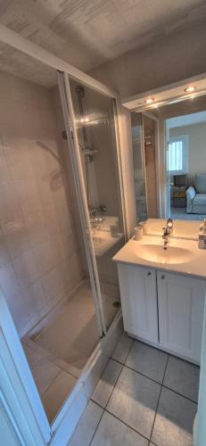 un bagno con doccia e lavandino di La maison du mail, T2, wifi, 300m de la plage a Cap d'Agde