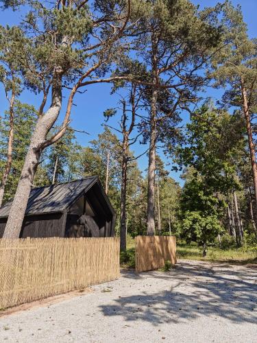 a house with a black roof in a forest at Männikäbin Tiny House 