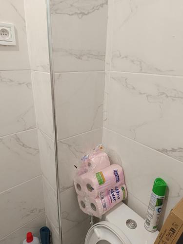 une salle de bain avec des toilettes avec un sac rose dessus dans l'établissement Studio, à Amiens