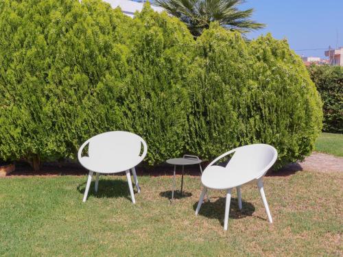 Κήπος έξω από το Cisterna Apartment - Shared Pool