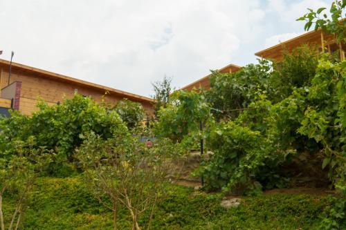 Zahrada ubytování Wakan Farm Villas El Souda - مزرعة وكن الريفية - قرية شرمه