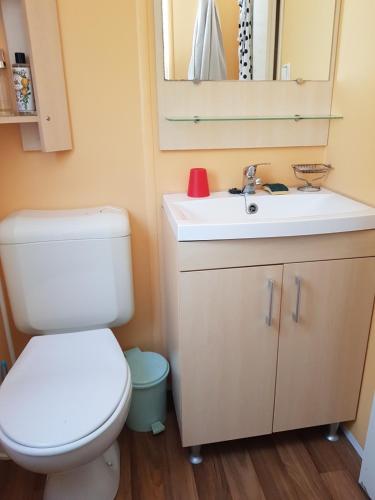 une salle de bain avec toilettes, lavabo et miroir dans l'établissement emplacement 490, à Gastes