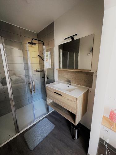 a bathroom with a sink and a shower at 3 pièces spacieux plein centre, parking,clim, terrasse, jardin in Foix