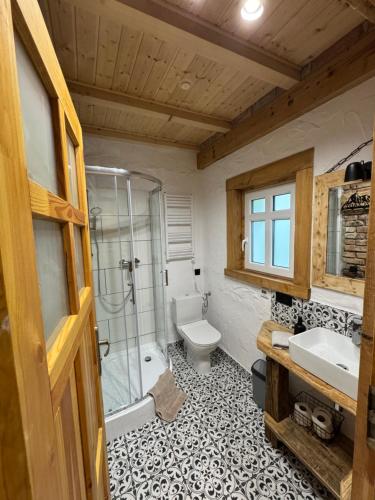 a bathroom with a toilet and a shower and a sink at MOTOMYCZKI-motel in Myczkowce