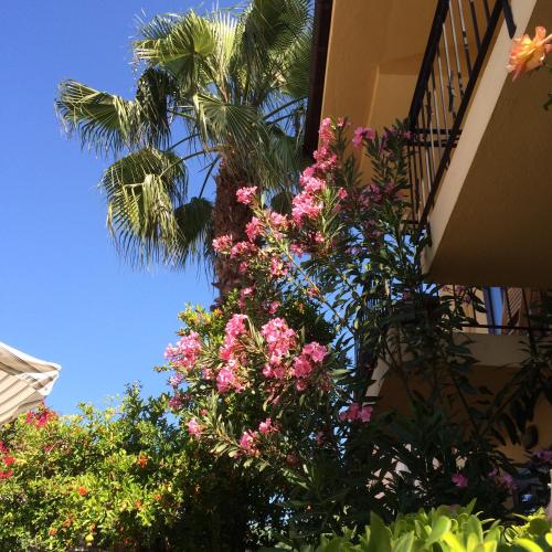 Jardin de l'établissement Villa Danlin Hotel