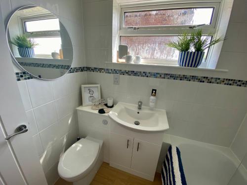 a bathroom with a toilet and a sink and a mirror at Seagulls Rest in Isle of Wight
