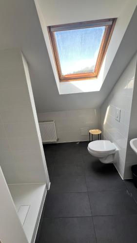 a bathroom with a toilet and a skylight at Apartment Zhang in Graz