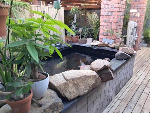 a koi pond in a garden with plants at Villa Mariss Guesthouse in Kraaifontein