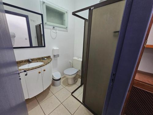 a bathroom with a toilet and a sink and a mirror at GH Bizkaia in Florianópolis