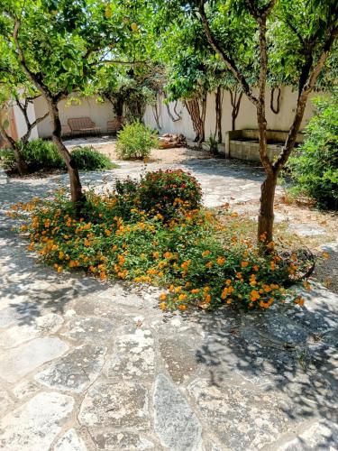 Zahrada ubytování Villa Memia