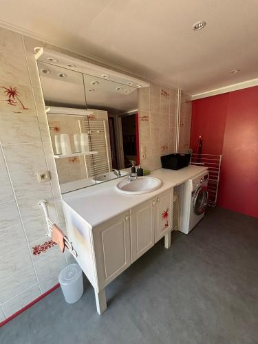une salle de bain avec un lavabo et une machine à laver dans l'établissement En Avignon 30133 les Angles, aux Angles (Gard)