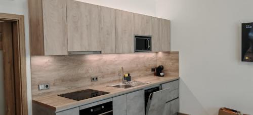 Dapur atau dapur kecil di Nový Apartmán Na Grůsce Strážnice u Baťáku