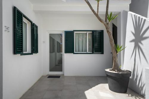 a plant in a pot next to a white wall with windows at Barlavento by An Island Apart in Porto Santo