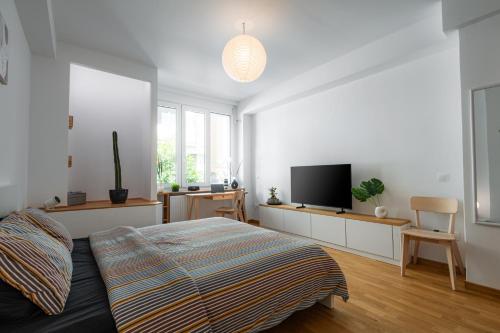 Charming 1 BDR Apt at Syntagma