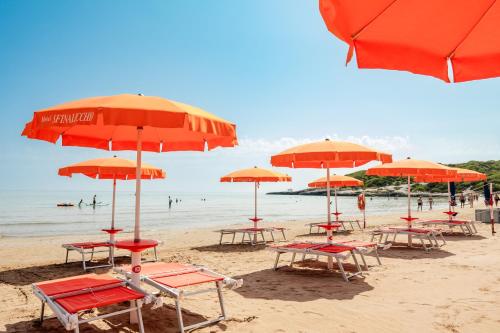 a group of chairs and umbrellas on a beach at Hotel Sfinalicchio in Vieste