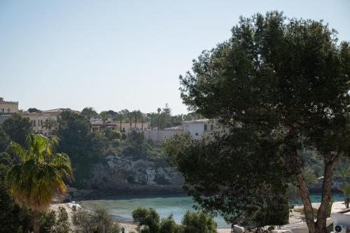a view of a river with trees and buildings at Apartamentos Azul Playa in Cala d´Or