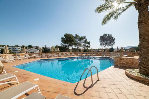 a swimming pool with chairs and a palm tree at Apartamentos Azul Playa in Cala d´Or
