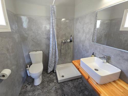 a bathroom with a sink and a toilet and a shower at Oasis in Kamarai