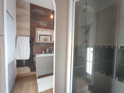 a bathroom with a shower and a sink at Villa Marie in Courçon