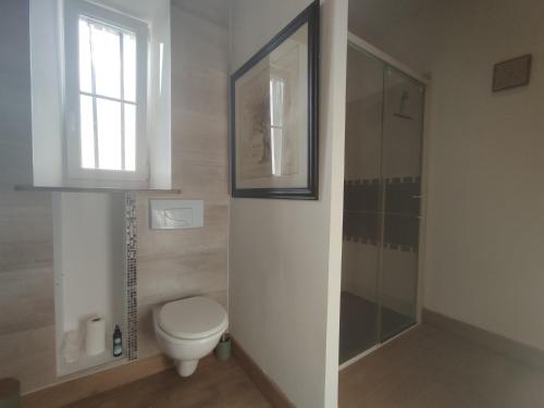 a bathroom with a toilet and a window and a shower at Villa Marie in Courçon