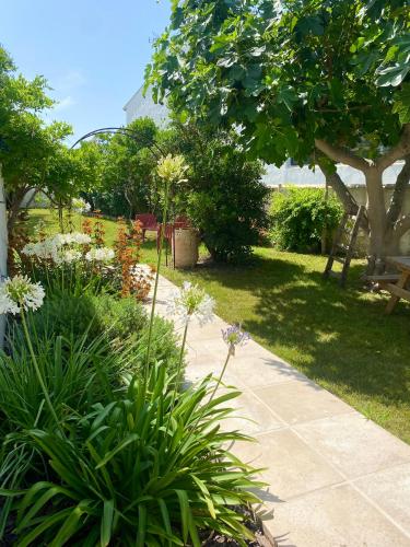 a garden with a path and flowers and a bench at Le chêne vert in Saintes-Maries-de-la-Mer