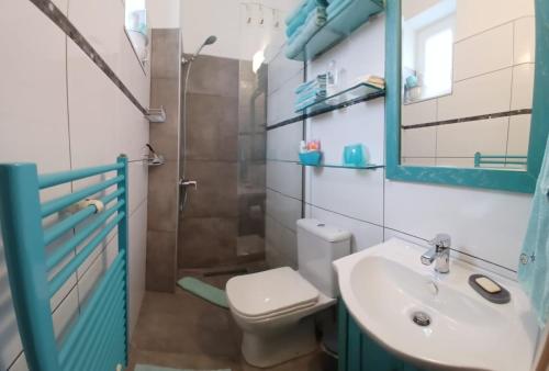 a bathroom with a toilet and a sink and a shower at Diavaide Apartment in Dhiavaïdhé