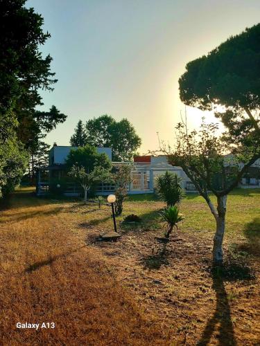 a park with trees and a building in the background at Dimora Montenegro 