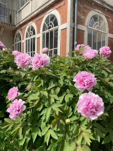 a bush of pink flowers in front of a building at Le Clos de Marguerite in Mellecey