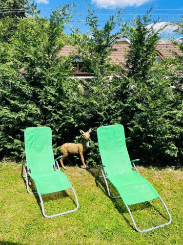 two green lawn chairs and a lamb standing between them at Apartmán Zara in Dobrá Voda