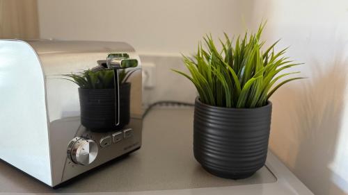 two plants in vases sitting next to a toaster at Haus am Röblinsee - Ferienwohnungen in Fürstenberg in Fürstenberg-Havel