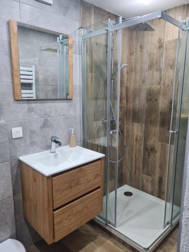 une salle de bain avec un lavabo et une douche dans l'établissement Duplex with Lake Geneva view, à Saint-Gingolph