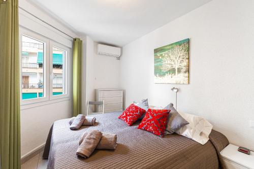 Albaida, 1 bedroom