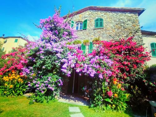 a garden of flowers in front of a house at IL CASALE DEL MAGRA in Ameglia