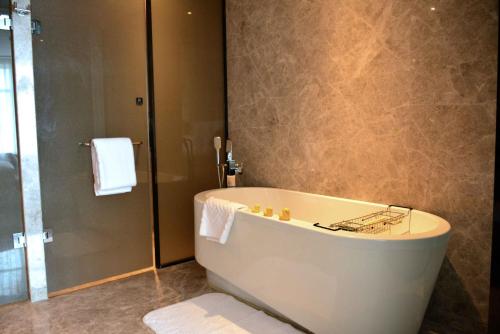 Bilik mandi di Hilton Urumqi